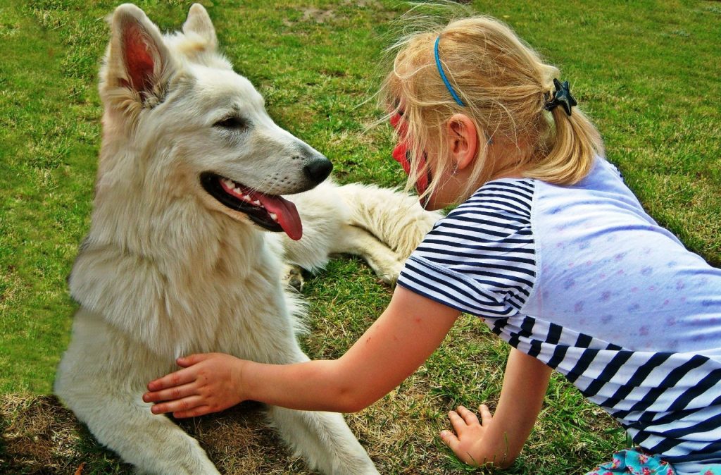 kutya-gyerek barátság