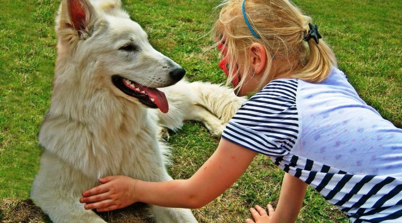 kutya-gyerek barátság