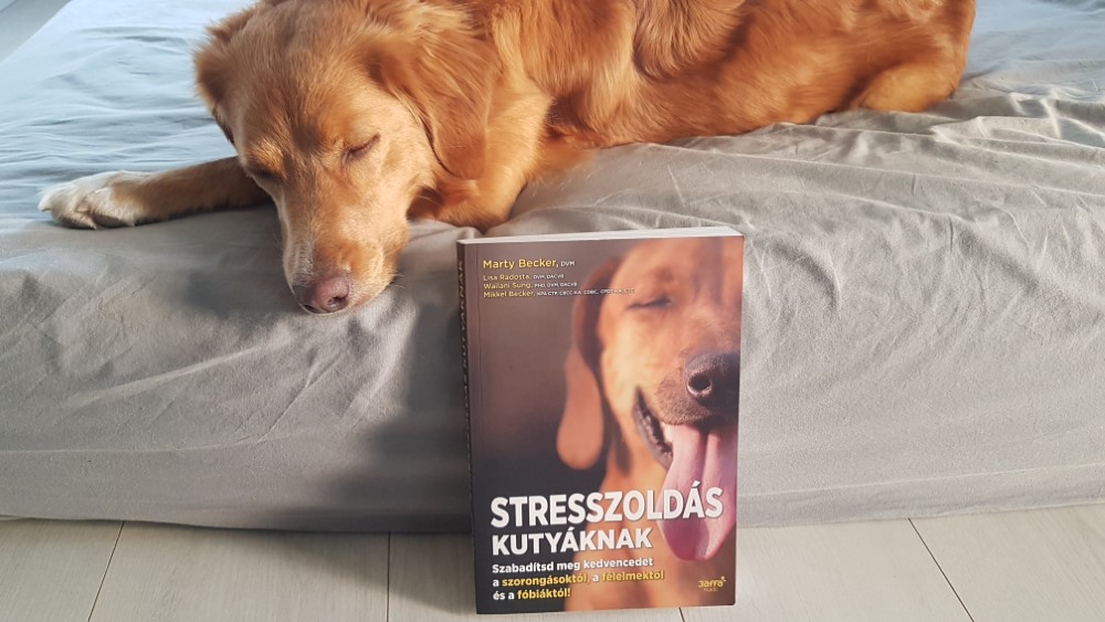 Kutyanevelés könyv - Stresszoldás kutyáknak