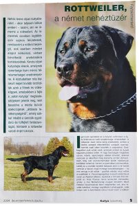 Rottweiler - a német nehéztüzér